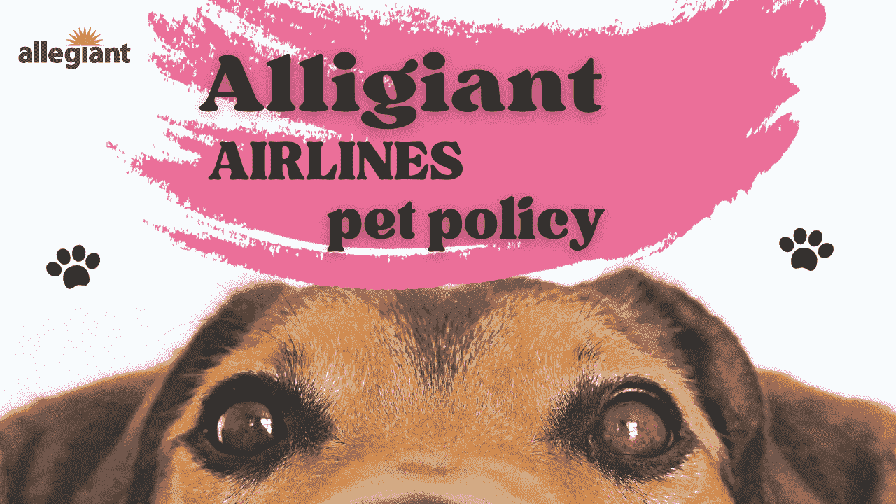 Allegiant Airlines Pet Policy