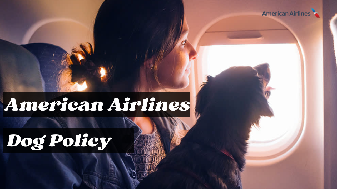 American Airlines Dog Policy