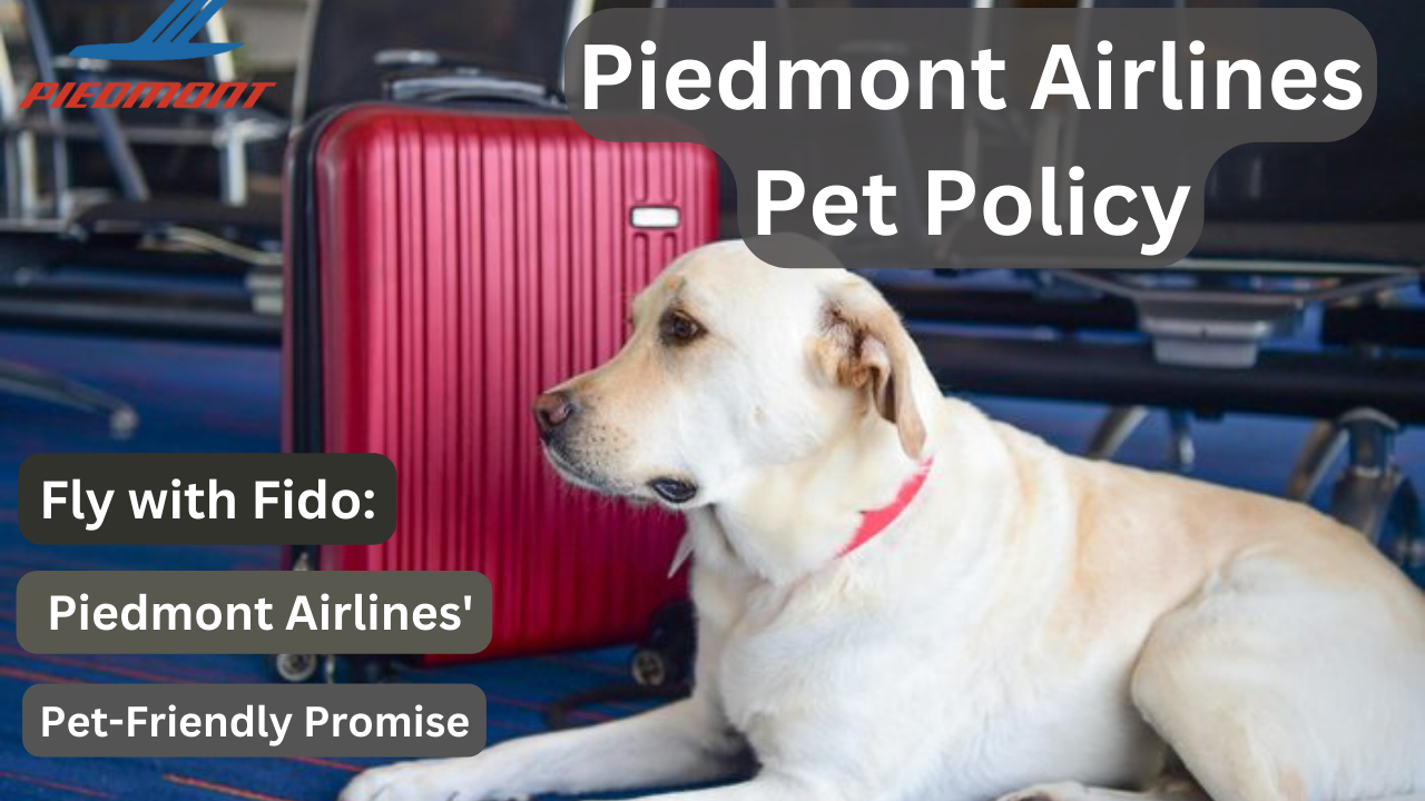 Piedmont Airlines Pet Policy