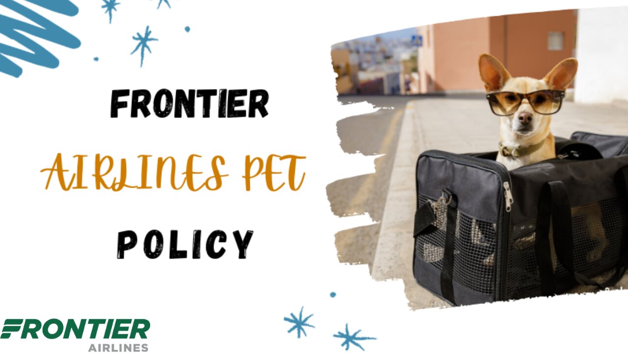 Frontier Airlines Pet Policy