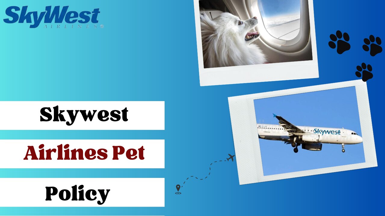 SkyWest Airlines Pet Policy