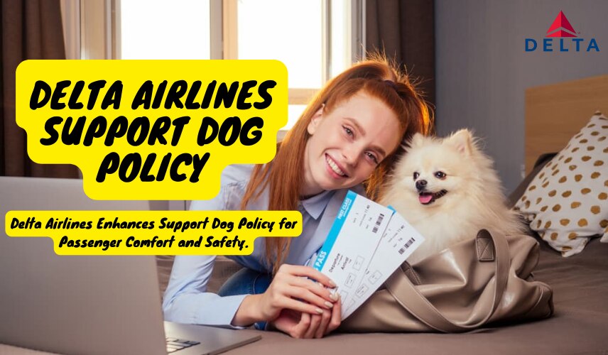 Delta Airlines Dog Policy