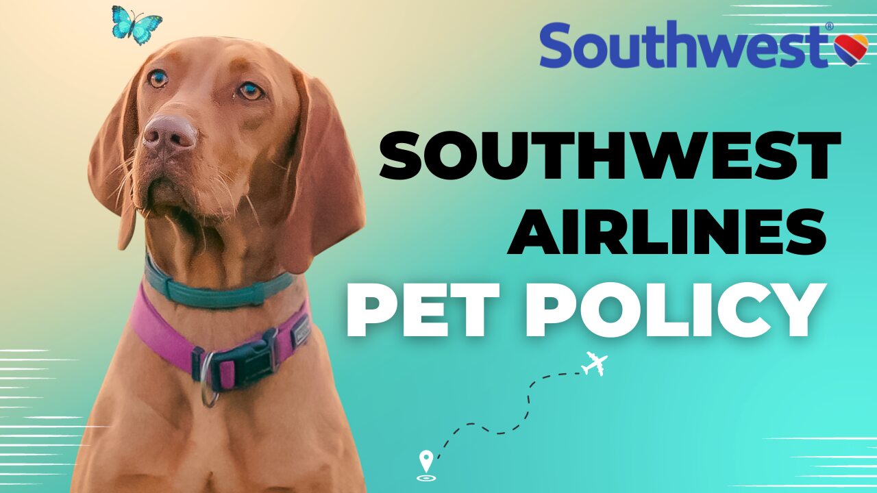 Southwest Airlines Pet Policy