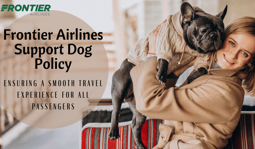Frontier Airlines Dog Travel Policy