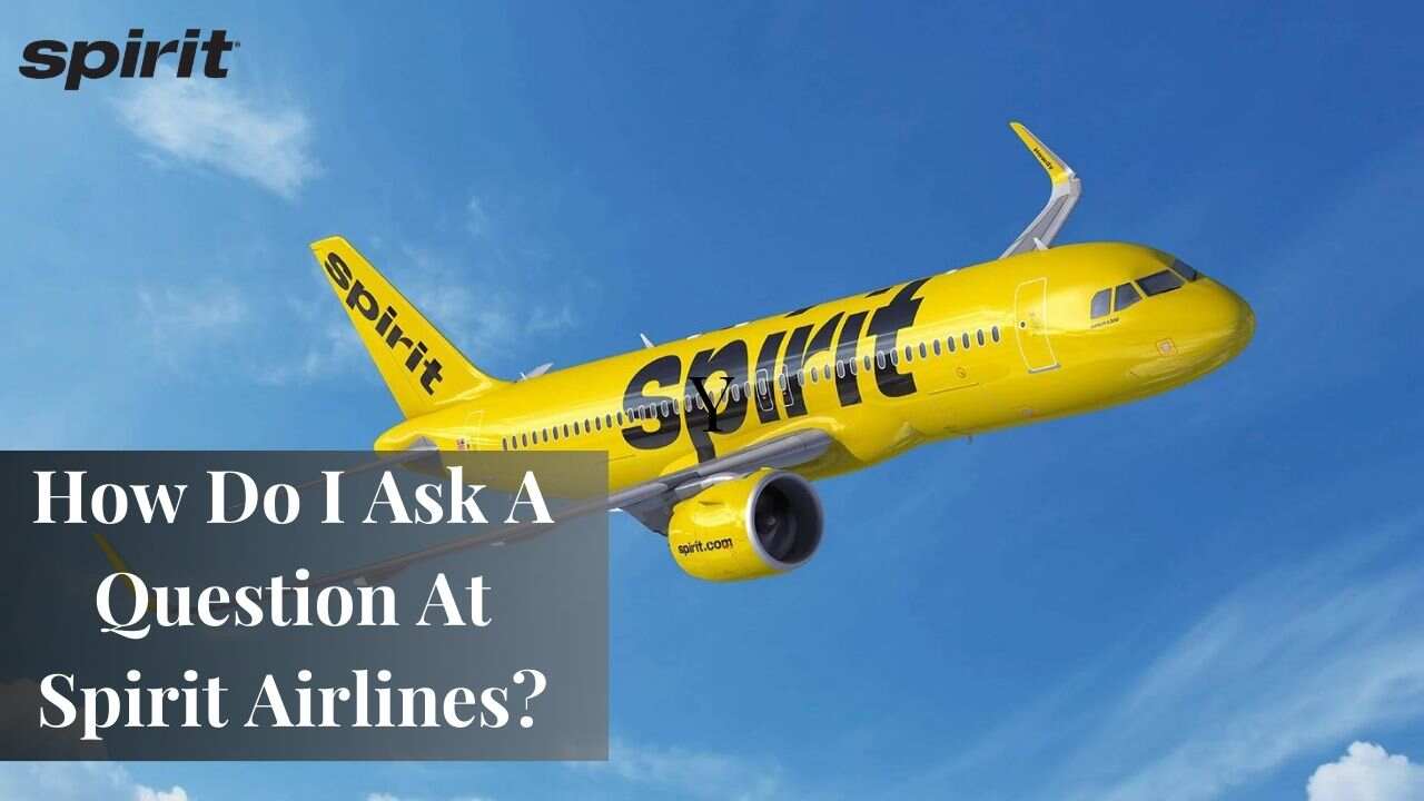 How Do I Ask A Question At Spirit Airlines