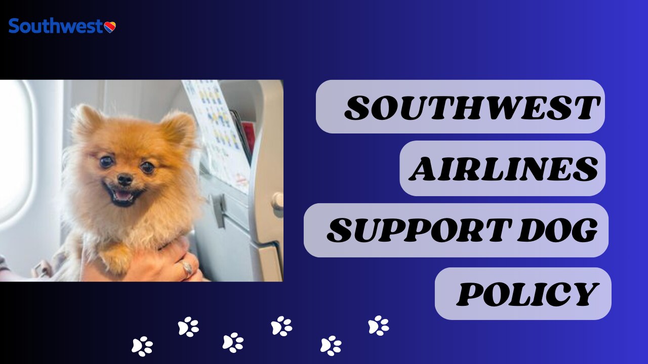 Southwest Airlines Dog Policy