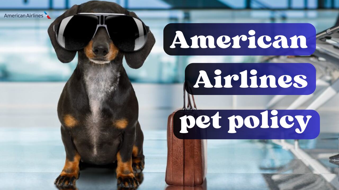 American Airlines Pet Policy