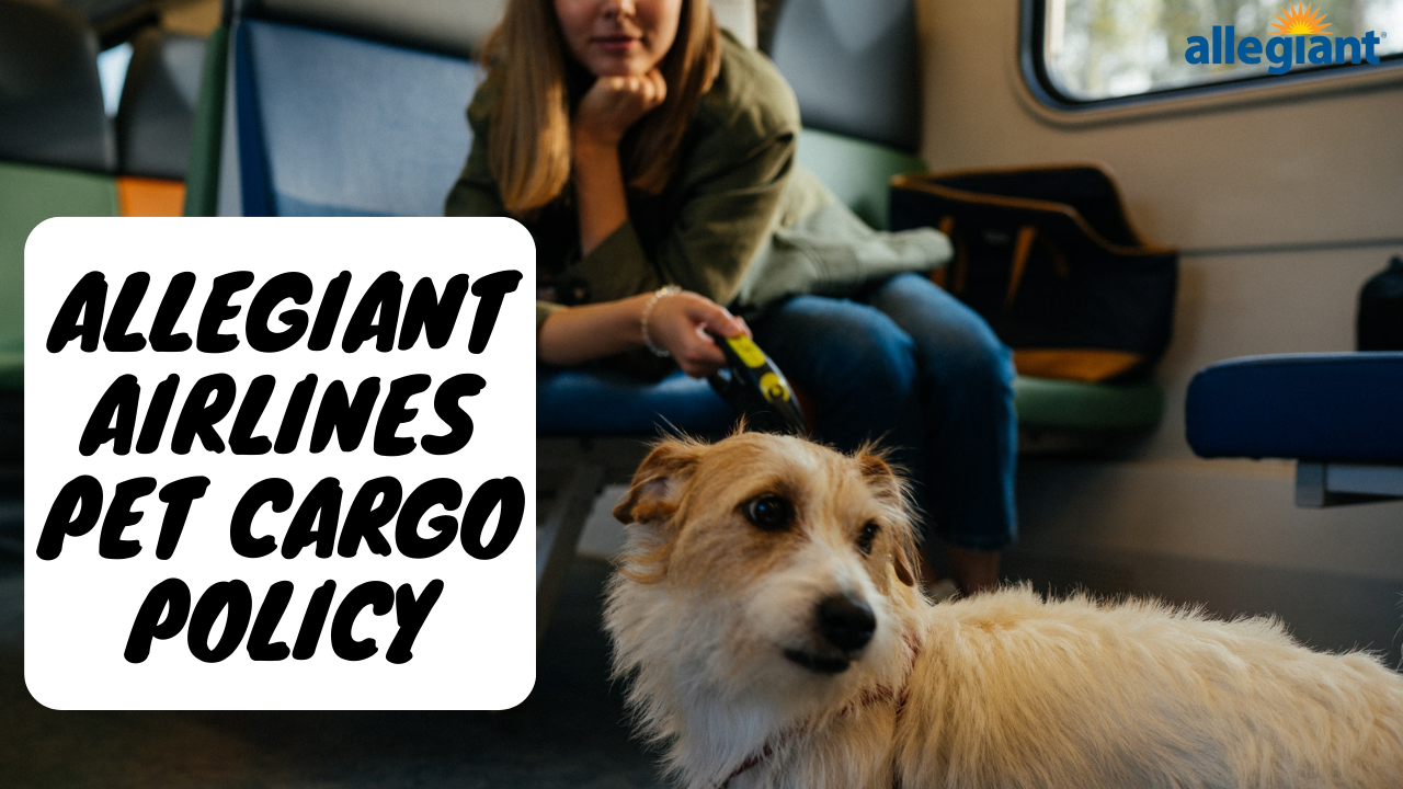 Allegiant Airlines Pet Cargo Policy